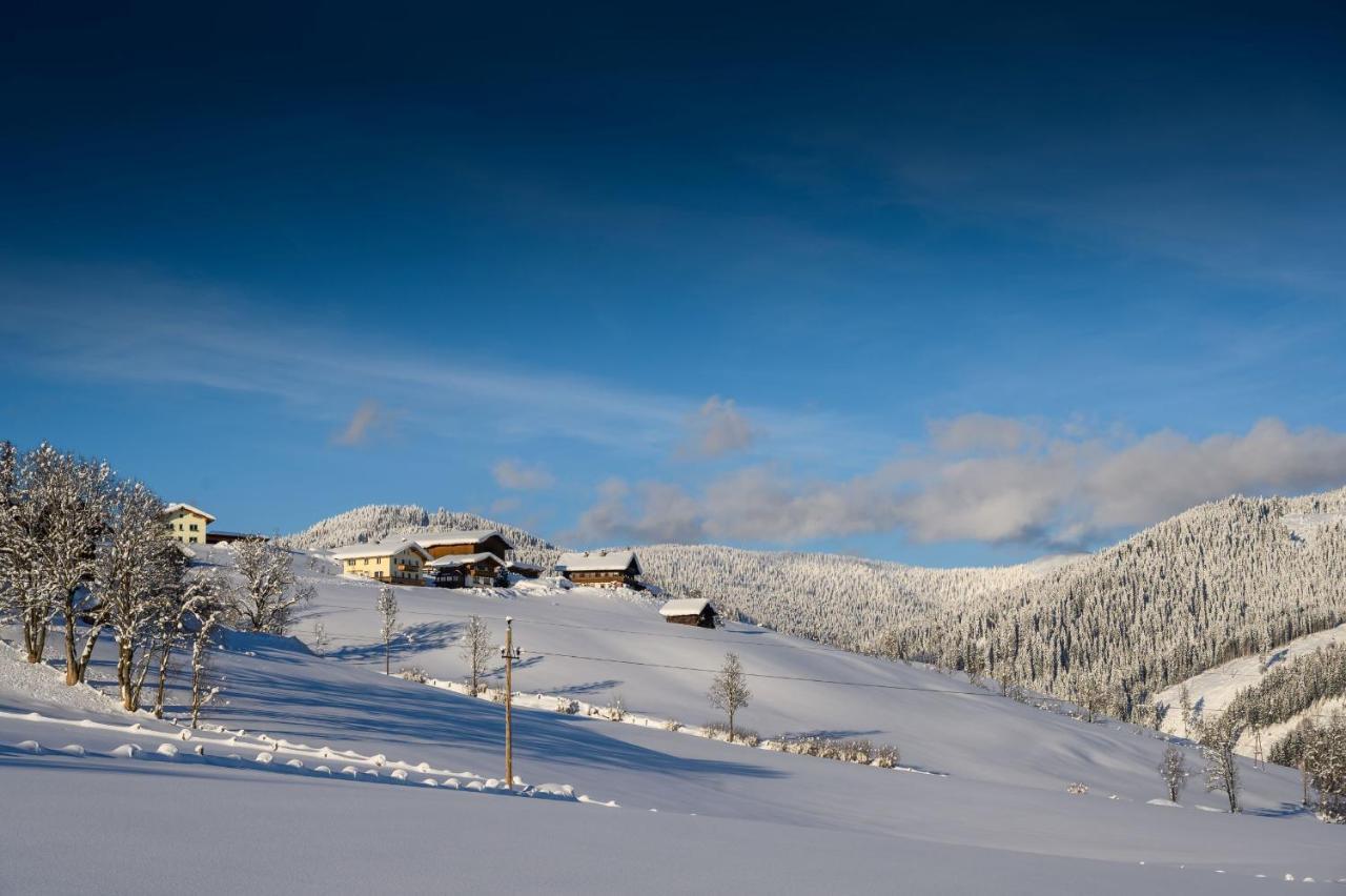Parchenbauernhof Horner Hotel Flachau Buitenkant foto