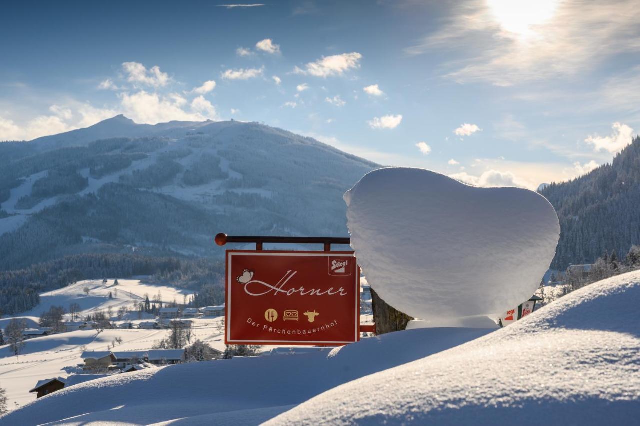 Parchenbauernhof Horner Hotel Flachau Buitenkant foto